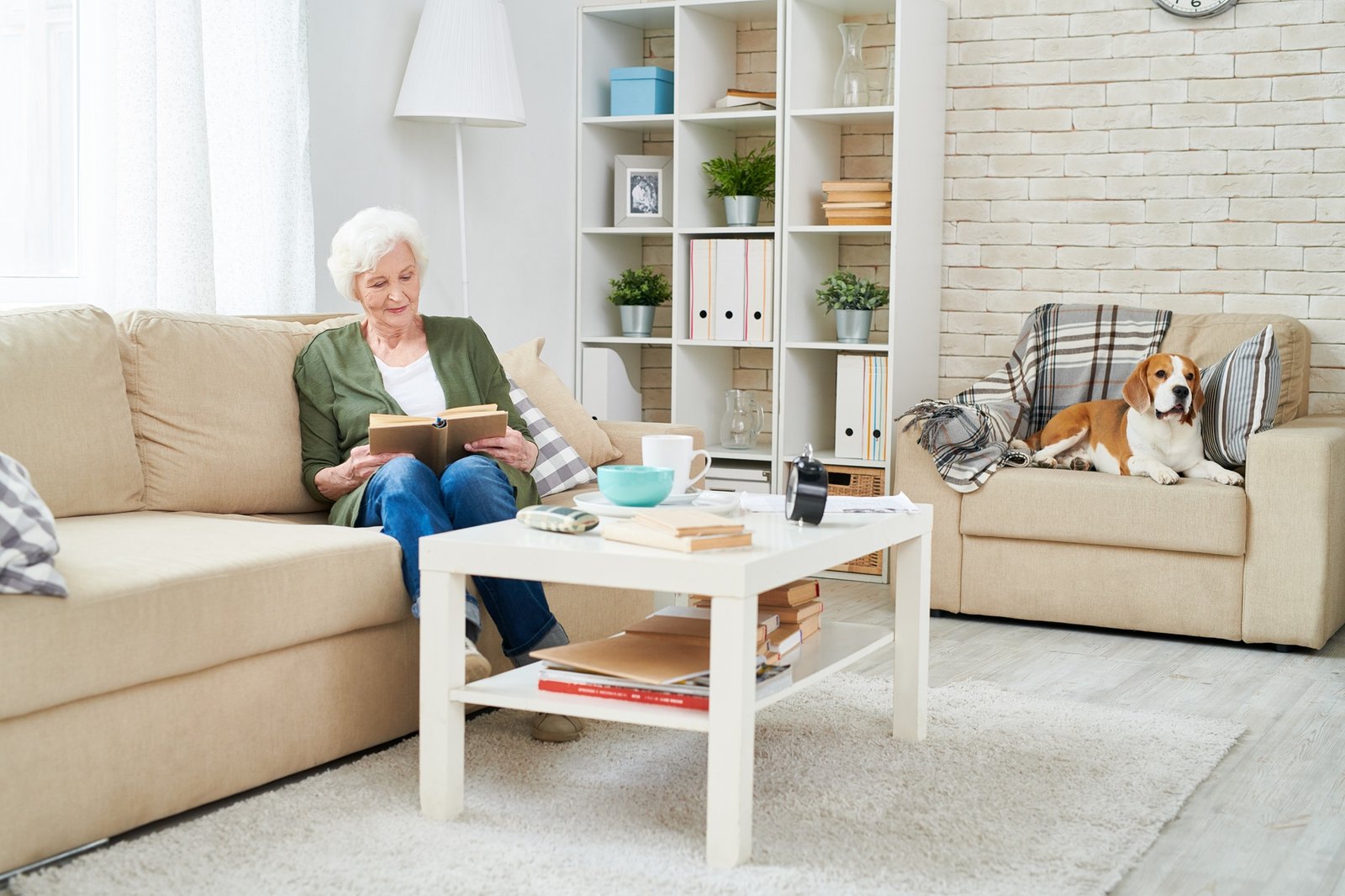 Comfortable senior apartment living